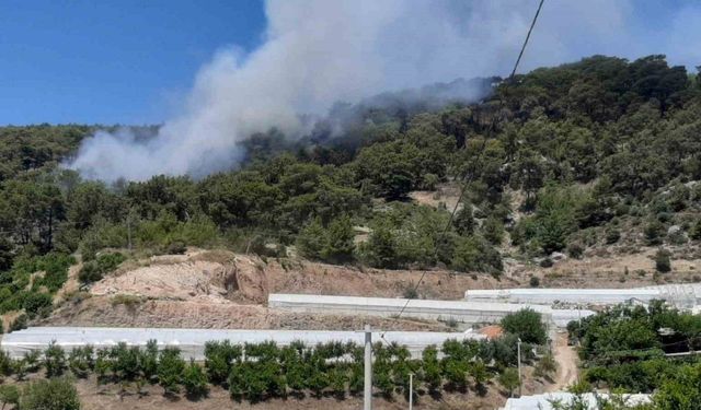 Antalya’da orman yangını