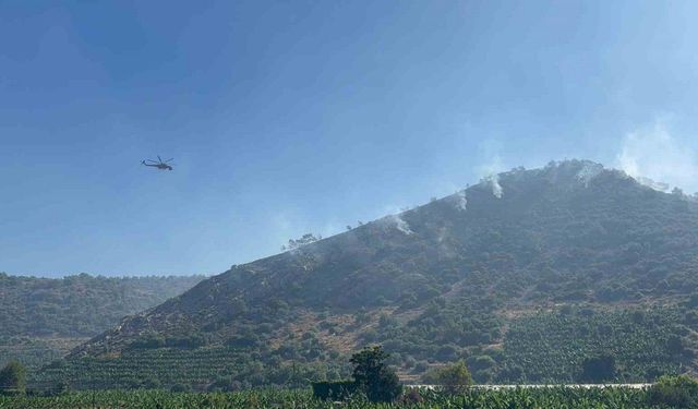 Antalya’daki orman yangını 3 saatte kontrol altına alındı