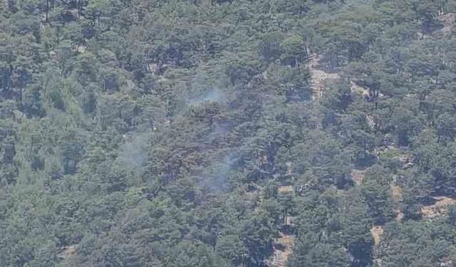 Antalya’daki orman yangını kontrol altına alındı