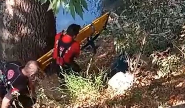Balık tutarken 15 metreden düştü