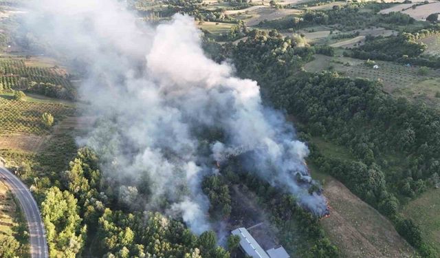 Bursa’da çöplükte çıkan yangın ormana sıçradı