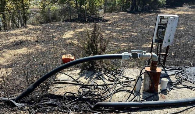 Çanakkale ve Biga’daki yangınlarla ilgili 3 kişi hakkında adli işlem yapıldı