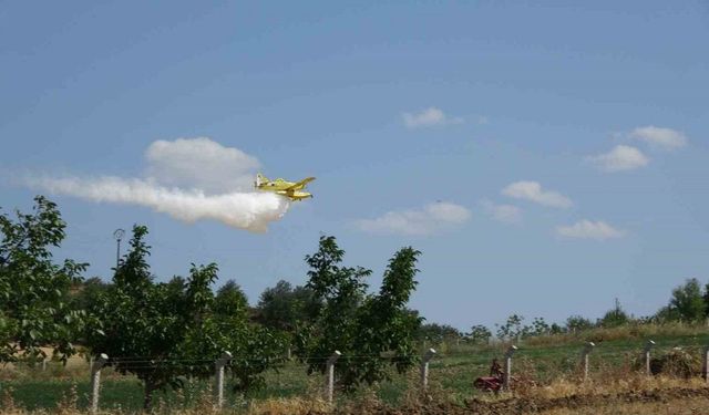 Çanakkale’de tarım arazisinde başlayan yangın ormanlık alana sıçradı