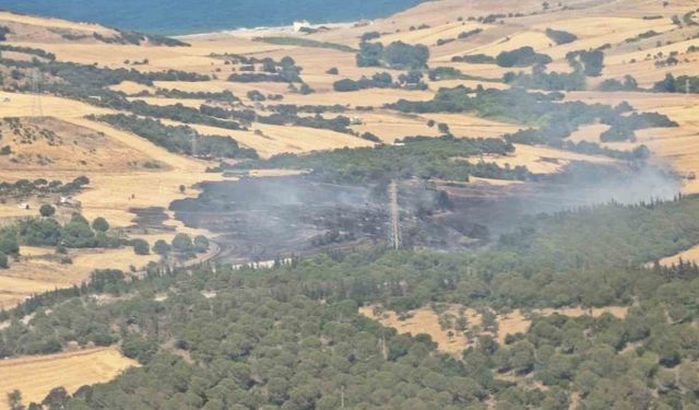 Çanakkale’de tarım arazisinde başlayıp ormana sıçrayan yangın kontrol altına alındı