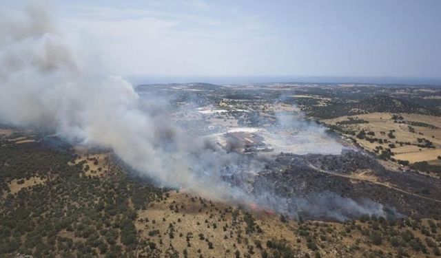 Çanakkale’de tarım arazisinde çıkan ve ormanlık alana sıçrayan yangın kontrol altına alındı