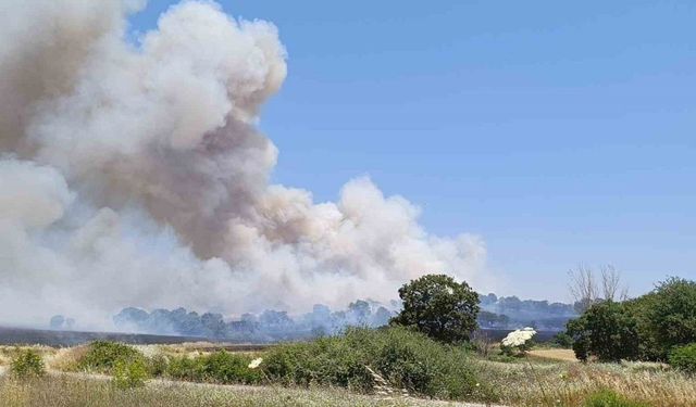 Çan’da tarım arazisinde yangın çıktı