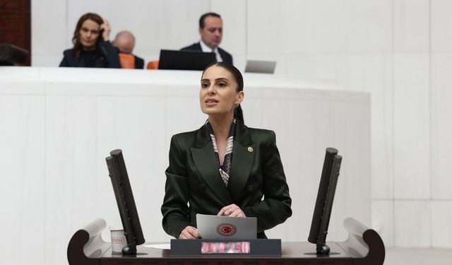 CHP'li Özcan: AKP’nin ‘harika çocukları’ için zeytinlikleri katledecekler!