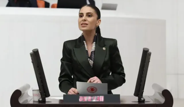 CHP’li Özcan’dan Dalaman Çayı uyarısı... Su güvenliği tehlikede