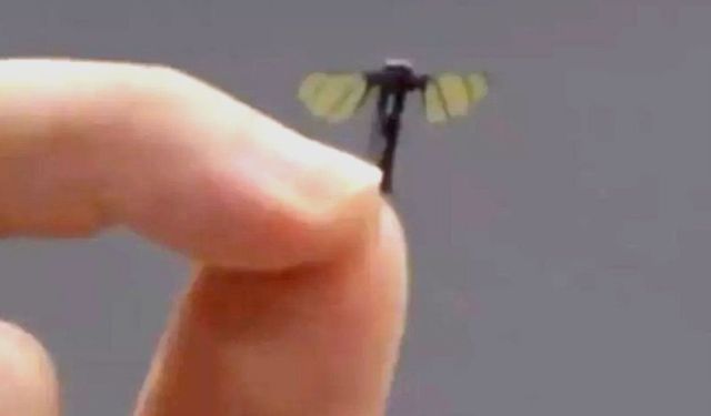 Çin'de sivrisinek boyutunda savaş dronu geliştirildi