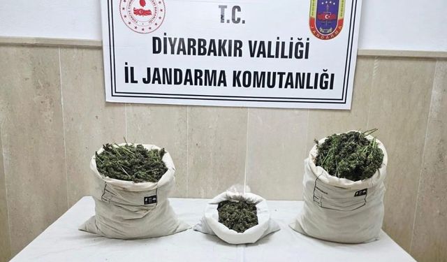 Diyarbakır’da 22 bin kök kenevir bitkisi ile 12 kilo esrar ele geçirildi