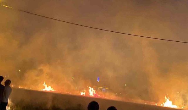Diyarbakır’da 40 dönüm buğday yangında küle döndü