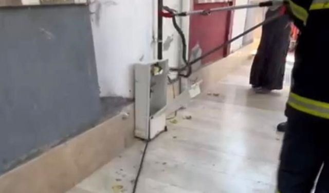 Doğal gaz kutusuna giren yılan doğal ortamına bırakıldı