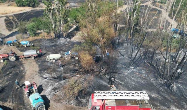 Eber Gölü yanındaki tarım arazilerinde yangın çıktı