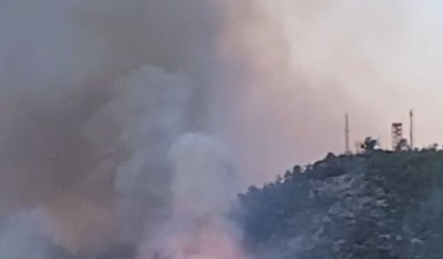 Gazipaşa’daki orman yangınında gözetleme kulesindeki personelin zor anları kamerada