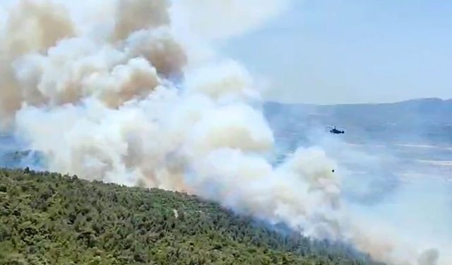 Kırıkağaç’ta yangın yeniden başladı