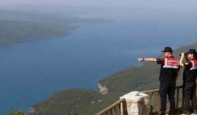 Komando, Polis Özel Harekât ve orman ekipleri ‘Yeşil Vatan’ nöbetinde