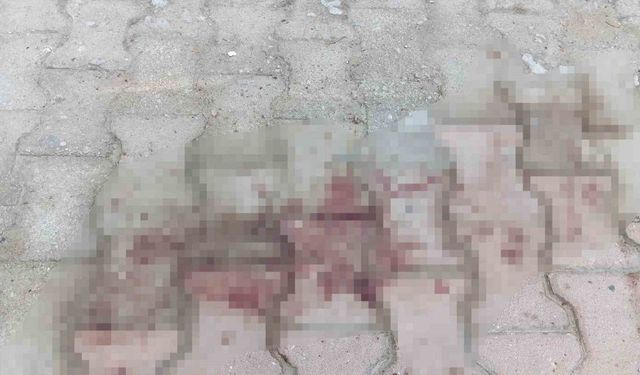 Komşusunun balkonundan kendi evine geçmeye çalışırken düşen kadın ağır yaralandı