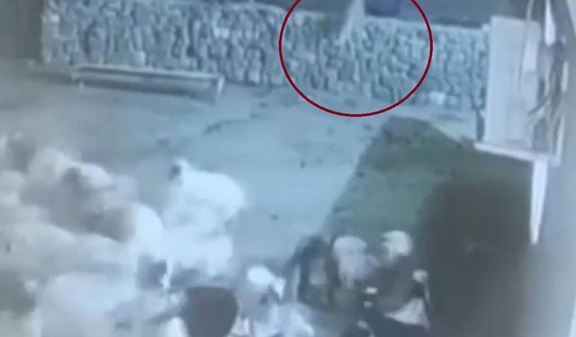 Kurt, ağıldaki sürüye böyle daldı: Kurdun kaptığı koyun ölü taklidi yaparak kurtuldu