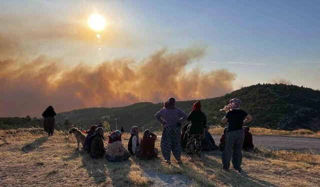 Manisa’daki orman yangını ikinci gününde devam ediyor