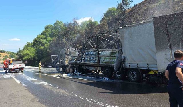 Motor yağı yüklü tır alev alev yandı, ormana sıçrayan yangın güçlükle söndürüldü