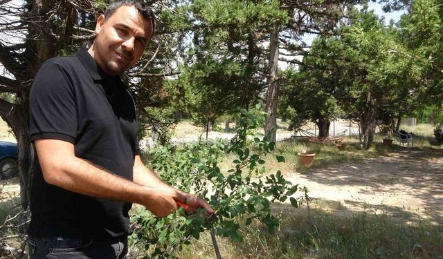 Ölmeden ölüm ilanı verildi, duyunca şok oldu