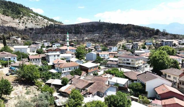 Zümrüt yeşili orman manzaraları kömürlüğe döndü