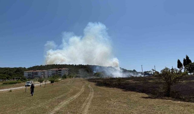 Sakarya’da depoda çıkan yangın ormana sirayet etti