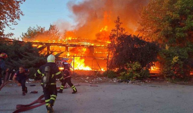 Sakarya’da kafede korkutan yangın