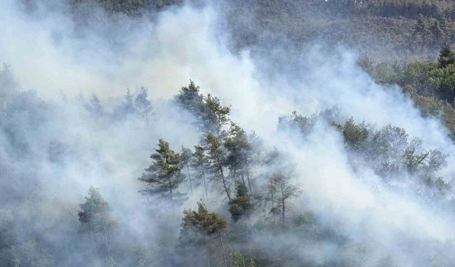 Sakarya’da ormanda yeniden yükselen alevlere havadan ve karadan müdahale edildi