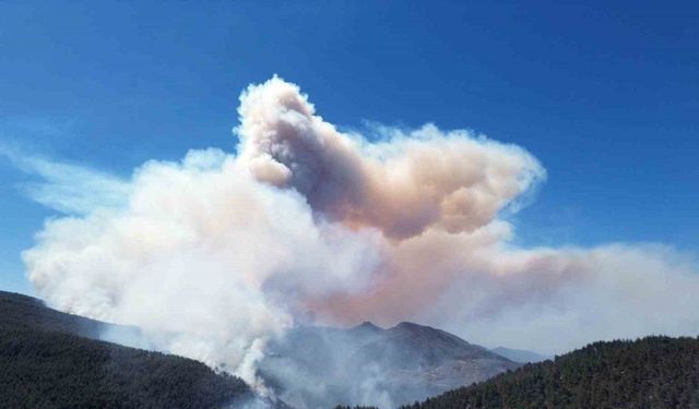 Sakarya’daki orman yangınına 700 personel, 200 araç ve 11 helikopter müdahale ediyor