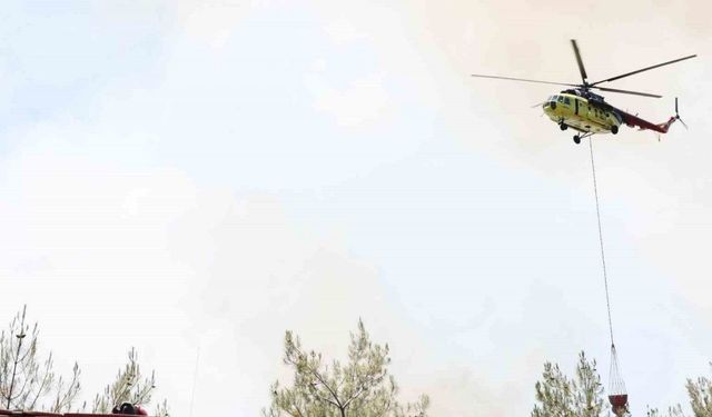 Sakarya’daki orman yangınında son durum: 2 mahallede tahliye işlemleri başladı