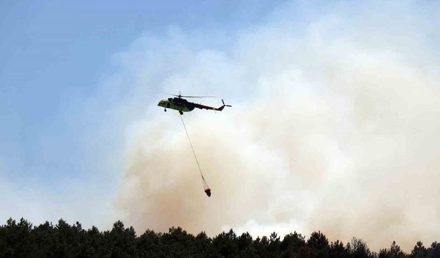 Sakarya’daki ormanlık alanda yangın: Havadan ve karadan müdahale ediliyor