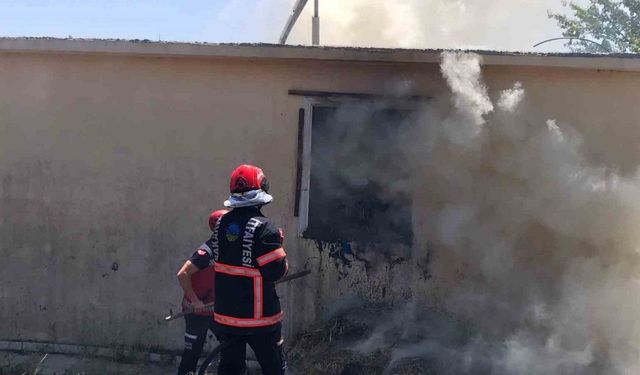 Samanlık deposunda yangın: 200 balya saman kül oldu