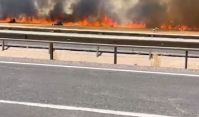 Şanlıurfa’da 100 dönümlük buğday tarlası küle döndü