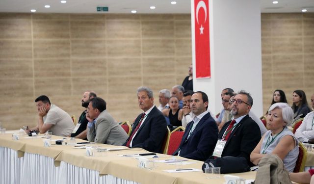 Şehir merkezlerine kadar inen yaban domuzlarına çare aranıyor