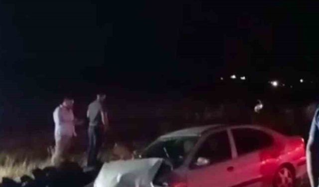 Siverek’te kontrolden çıkan otomobil şarampole girdi: 2 yaralı