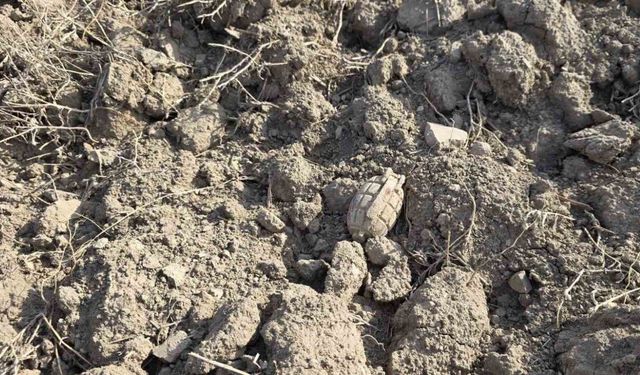 Tarlada Sakarya Meydan Muharebesinden kalma patlamamış el bombası buldu