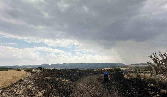 Tavuk çiftliğinde yakılan ateş tarlaya sıçradı