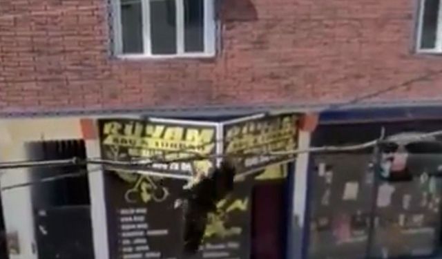 Tele takılan kuşu itfaiye kurtardı