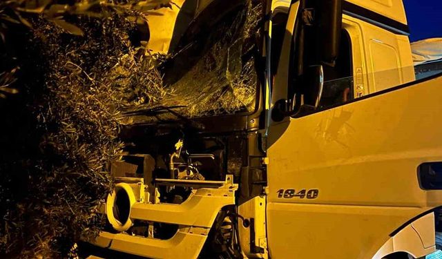 Tır sürücüsü uyudu, ortalık savaş alanına döndü