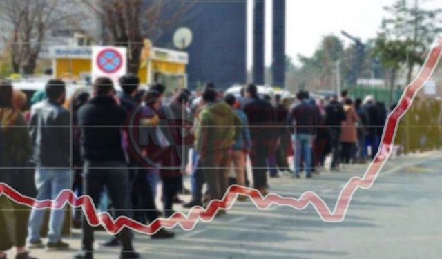 TÜİK Mayıs 2025 işsizlik rakamlarını açıkladı