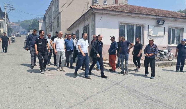 Vali Özkan yangın bölgesinde incelemelerde bulundu