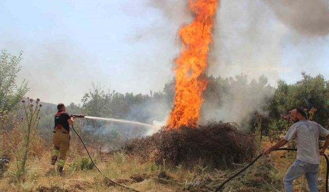 Vali Özkan yangın bölgesindeki son durumu açıkladı