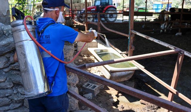 Başkan Yetişkin'le Efeler'de hizmet seferberliği