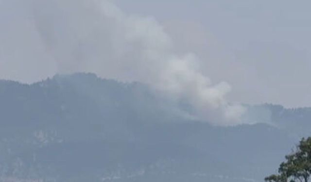 Bir yangın da Osmaniye'de çıktı