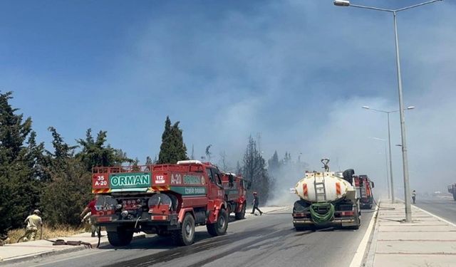 Bu kez Buca'da orman yangını çıktı! Rüzgarın etkisiyle büyüyor