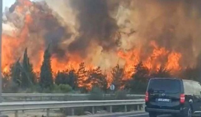 Buca’daki yangınla ilgili İzmir Valisi Elban’dan açıklama!