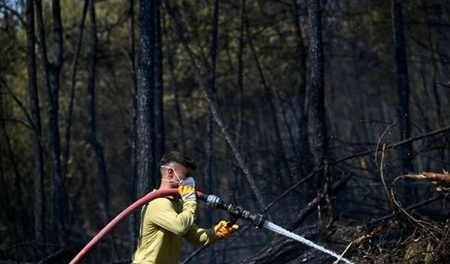 Bursa ve Karabük'teki orman yangınlarında son durum!