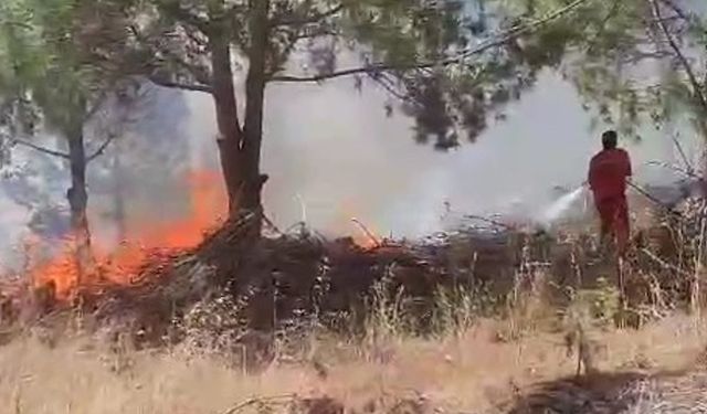 Bursa’da ağaçlık alanda çıkan yangına müdahale ediliyor