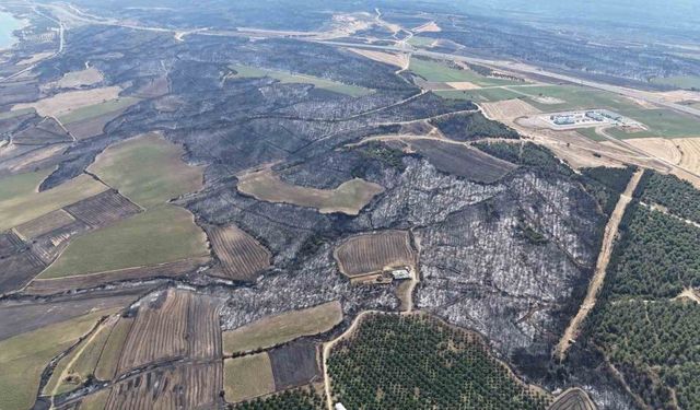 Çanakkale’deki orman yangını kontrol altına alındı